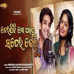 Neijibi Mo Gharaku Sajei Bahu